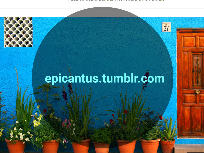 free Epicantus stock photos
