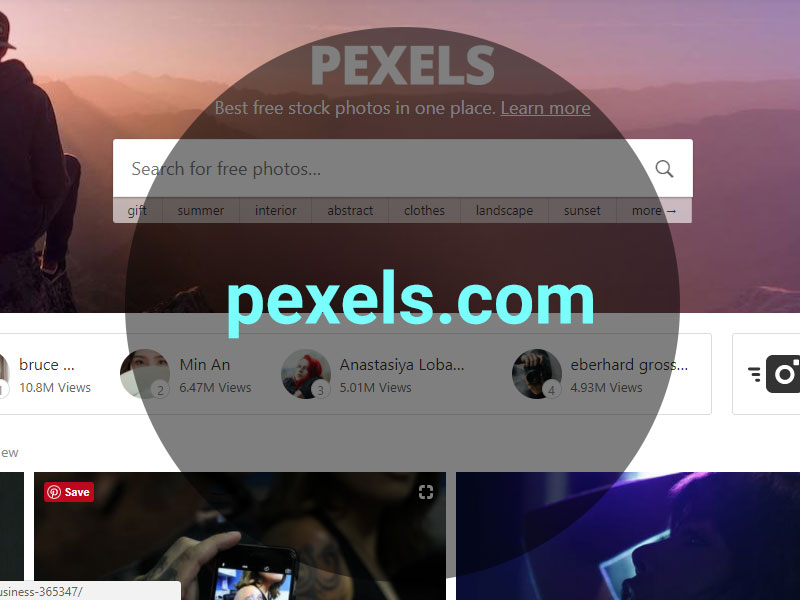 free pexels stock photos