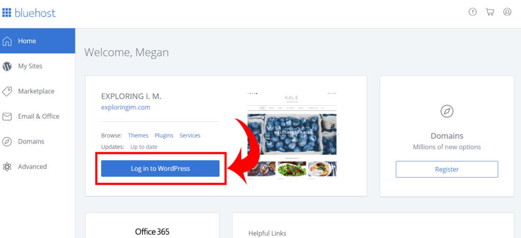 Log in to your blog via Bluehost account