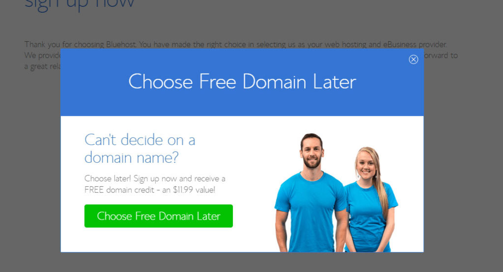 Bluehost choose domain name later