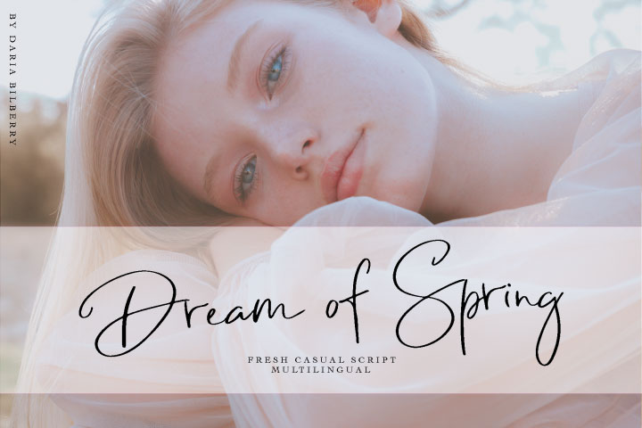 Free commercial use font -dream of spring